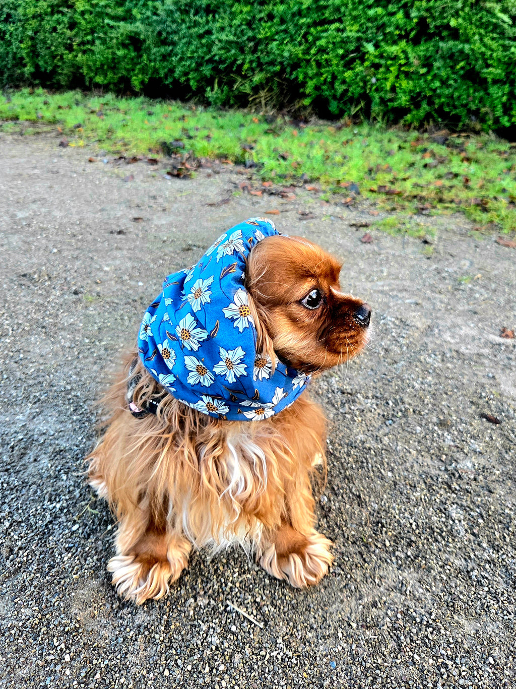 Snood marguerite