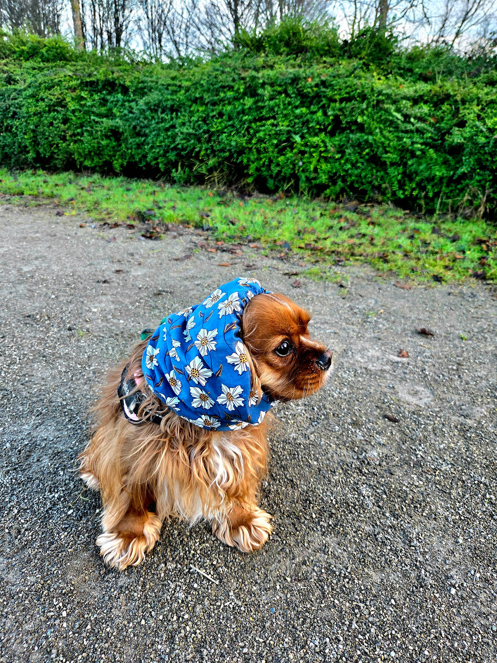 Snood marguerite