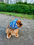 Snood marguerite