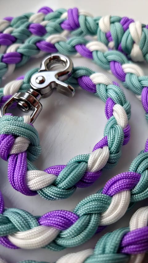 Laisse en paracorde tréssée