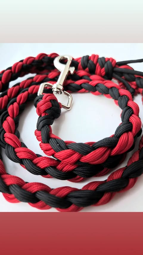 Laisse en paracorde tréssée