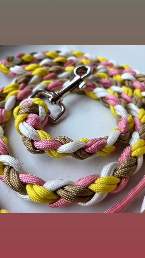 Laisse en paracorde tréssée