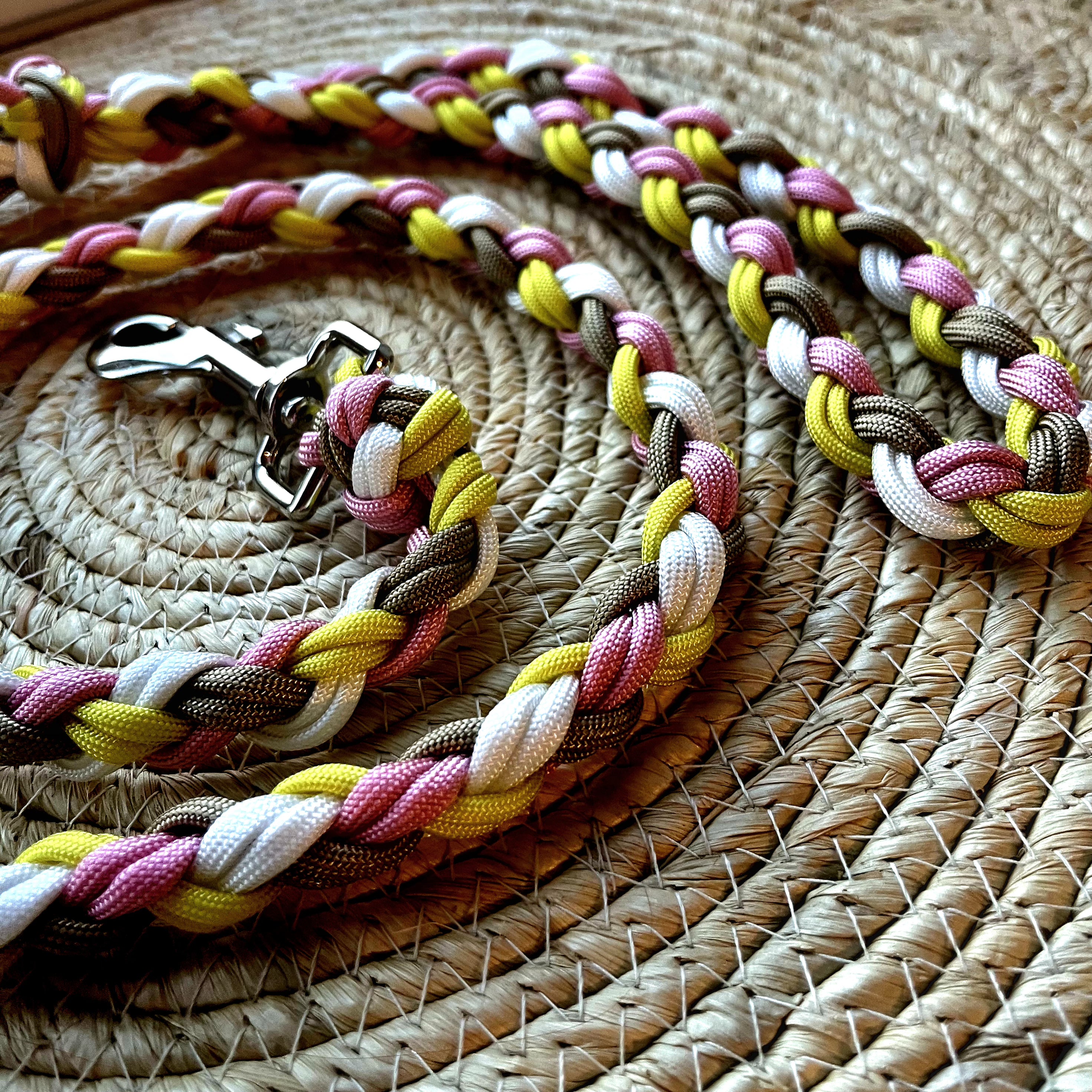 Laisse Douceur Pastel – Tendre, colorée et pleine de bonne humeur