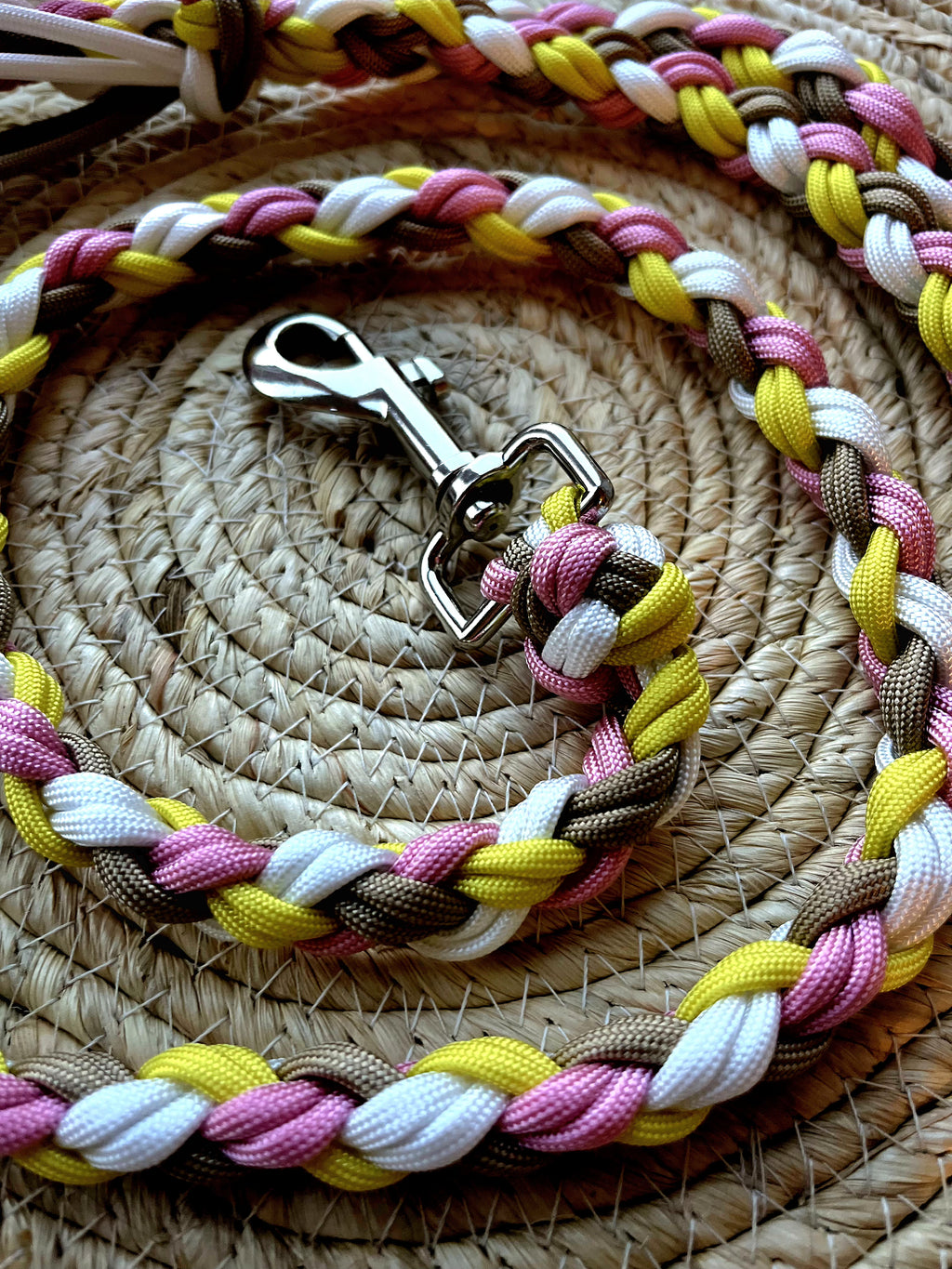 Laisse Douceur Pastel – Tendre, colorée et pleine de bonne humeur