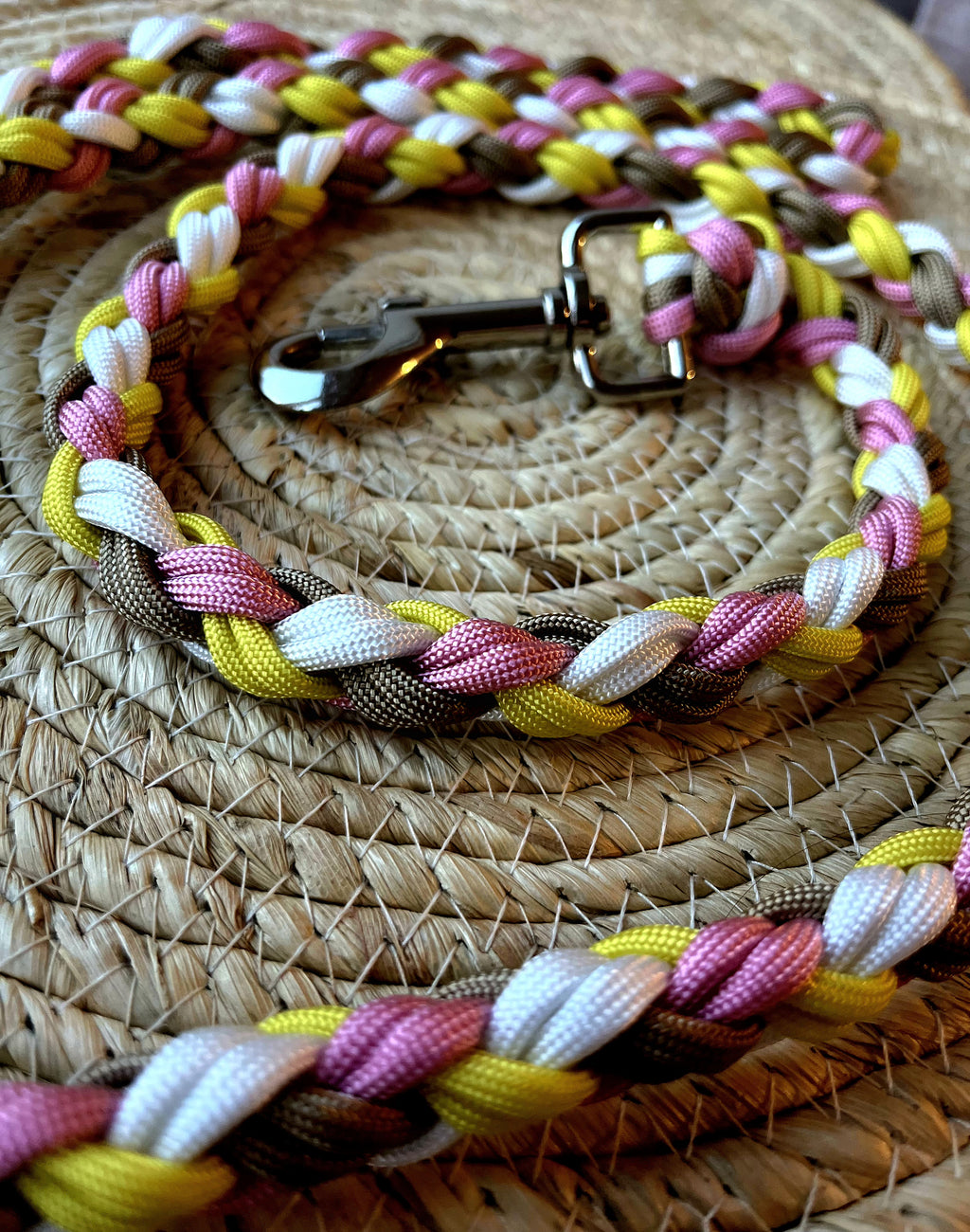 Laisse Douceur Pastel – Tendre, colorée et pleine de bonne humeur