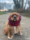 Snood a carreaux rouge