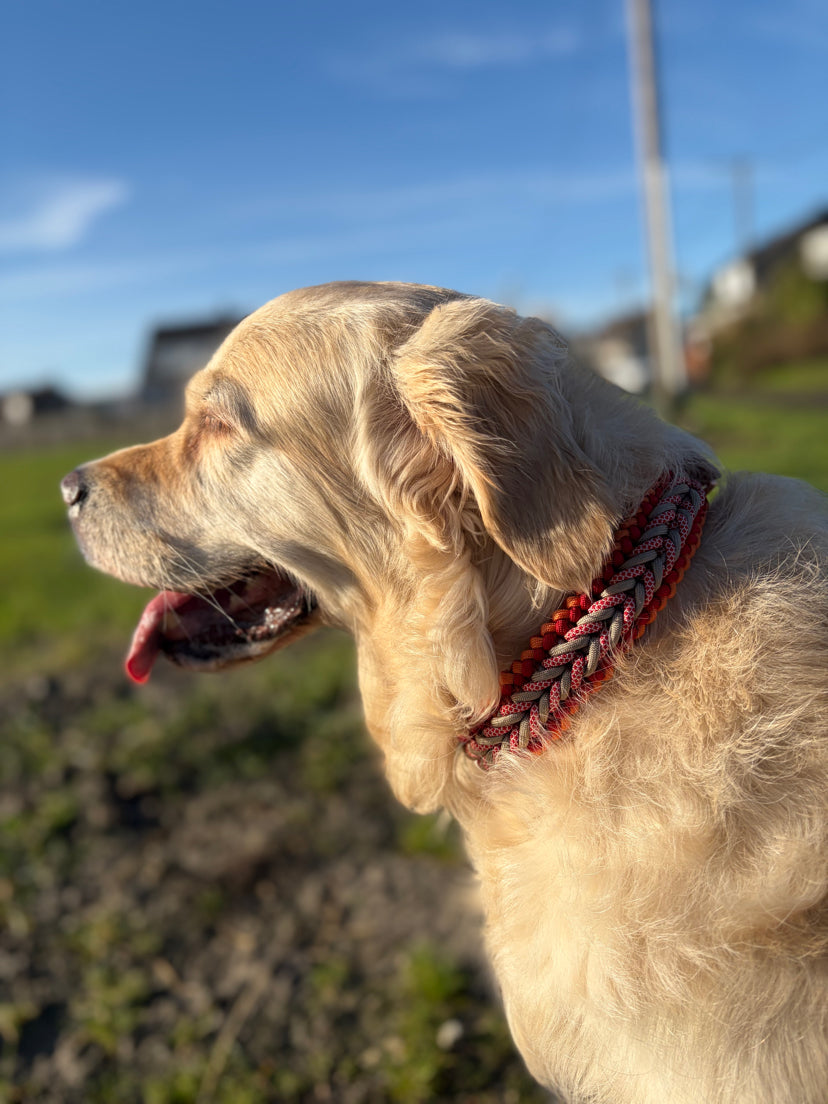 Collier Bennos Happinnes