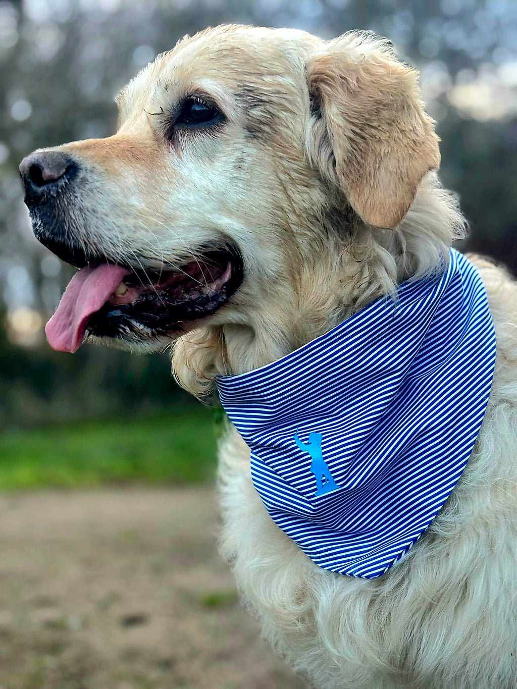 Bandana "carnaval de Dunkerque"