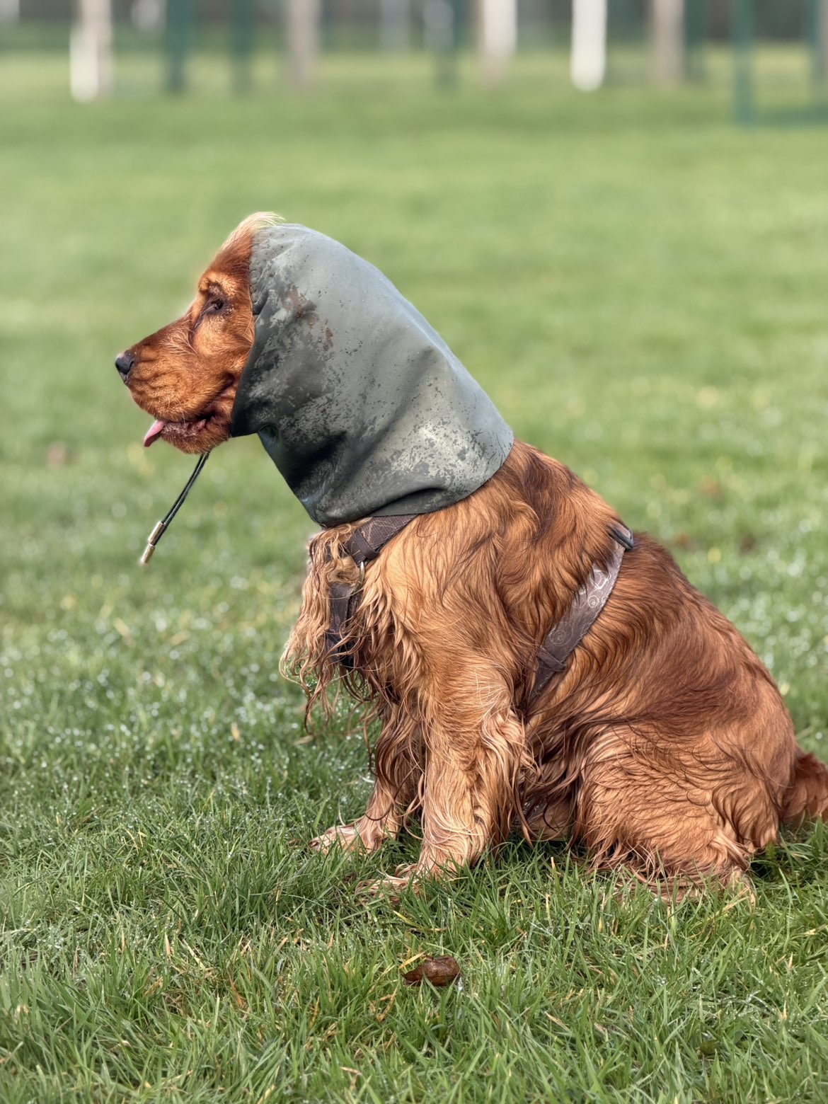 Snood Kaki deperlant