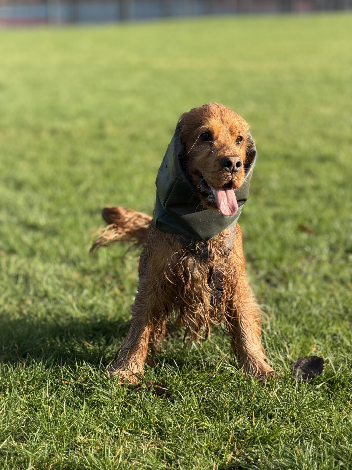 Snood Kaki deperlant